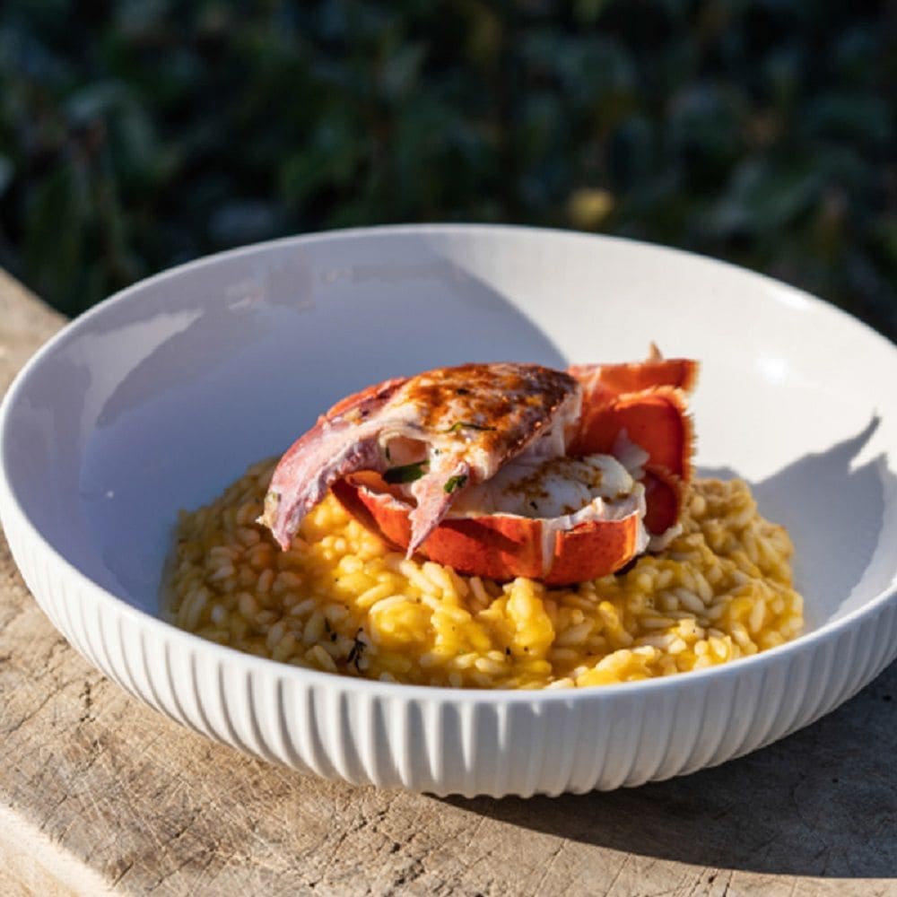 Embossed White Dinner Bowl Set, 24-cm, 4-pc I3Q3 - product image 2