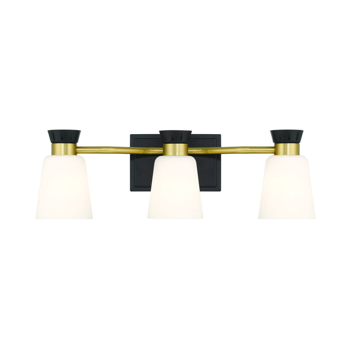 Springwater 3-Light Vanity with Opal Glass, Black H9N1 - product image 4