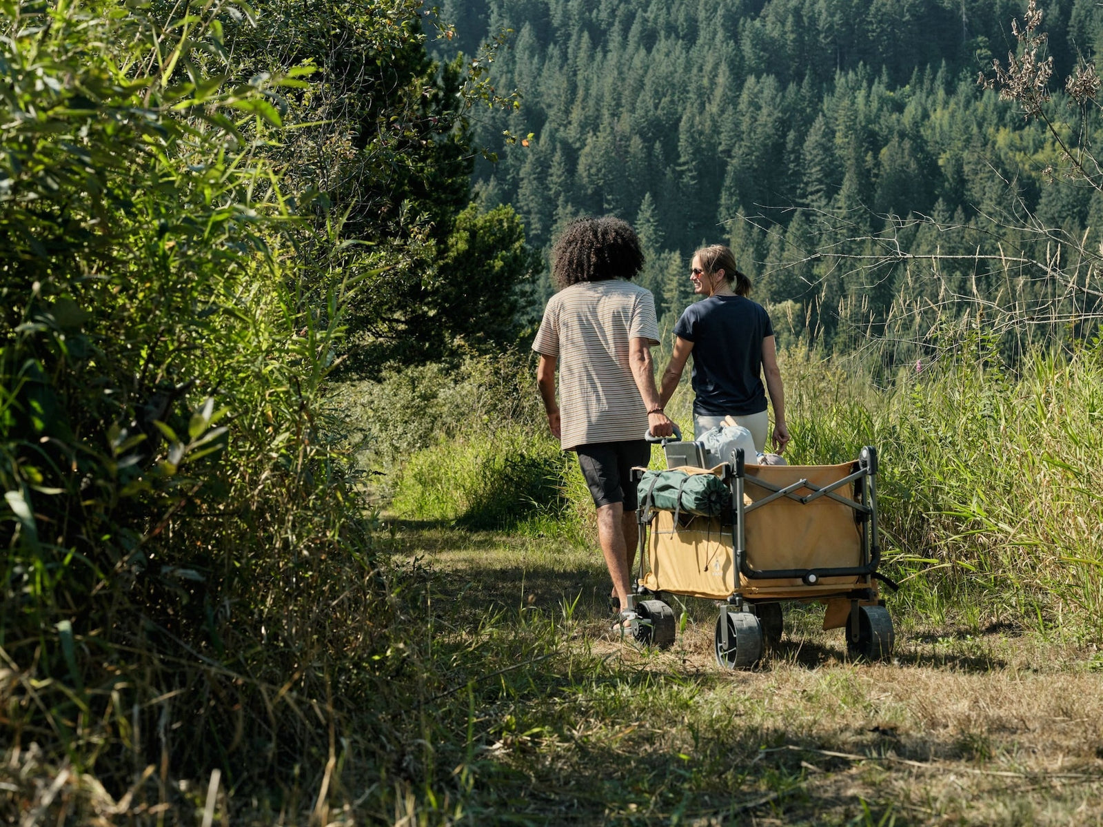 Overlander Fully Equipped Folding Wagon, 102-kg Capacity C5V3 - product image 8