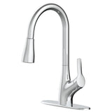 Clarivo 2-in-1 Filtration 1-Handle Pull Down Kitchen Faucet, Various Finishes N7D8 - product image 1