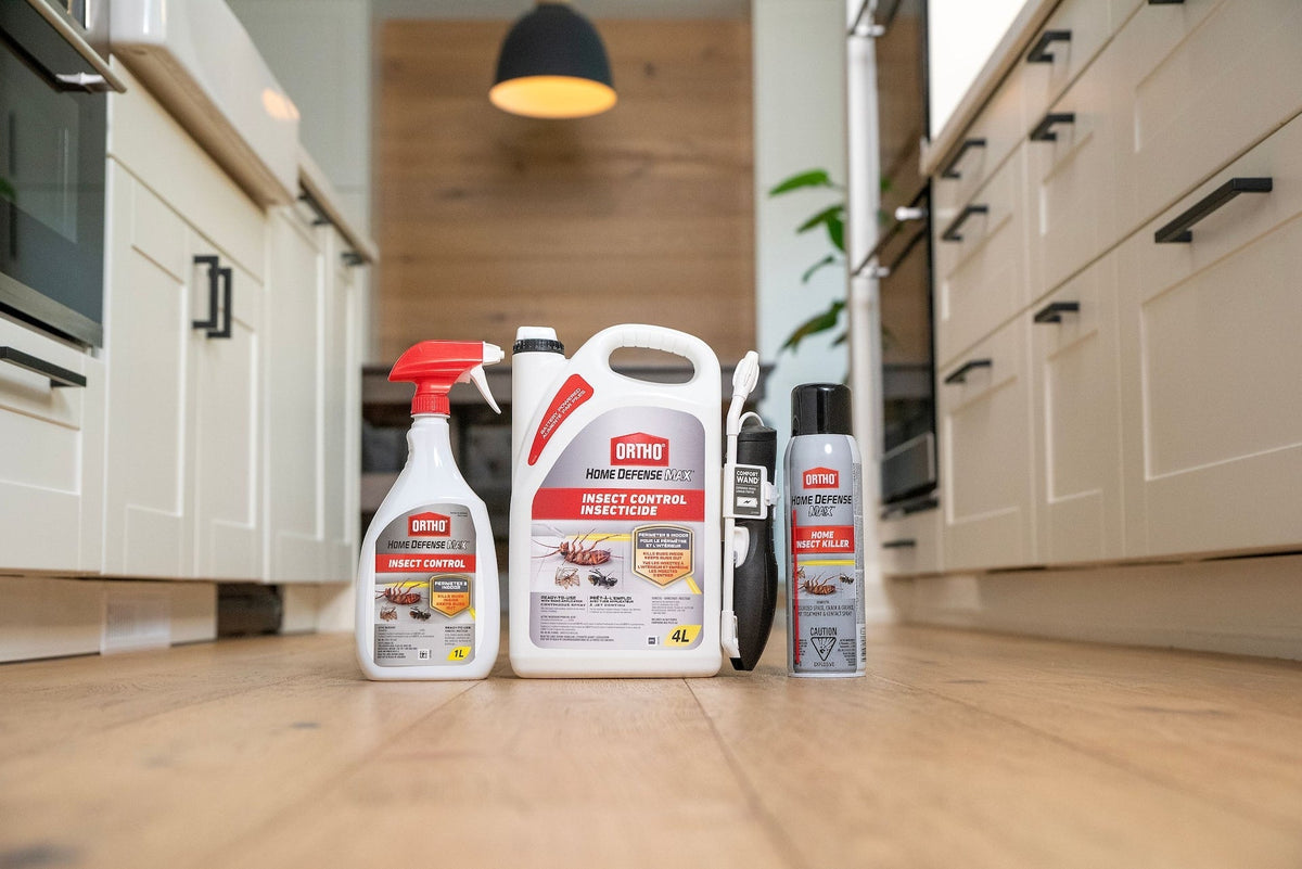 Home Defense MAX Perimeter & Indoor Liquid Ready-to-Use Insect Control, Insecticide, 4-L I1B6 - product image 3