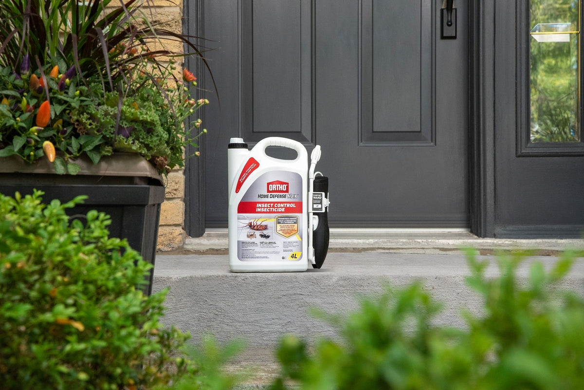 Home Defense MAX Perimeter & Indoor Liquid Ready-to-Use Insect Control, Insecticide, 4-L I1B6 - product image 5