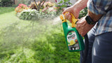 Weed B Gon MAX Ready-to-Spray Weed Control/Killer Concentrate, Herbicide for Lawns, 1-L P6M4 - product image 5