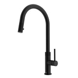 Bristol Kitchen Faucet H9S6 - product image 1